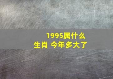 1995属什么生肖 今年多大了